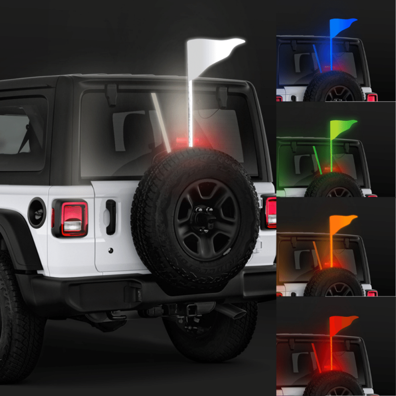 ORACLE Off-Road ColorShift LED Whip - 6'