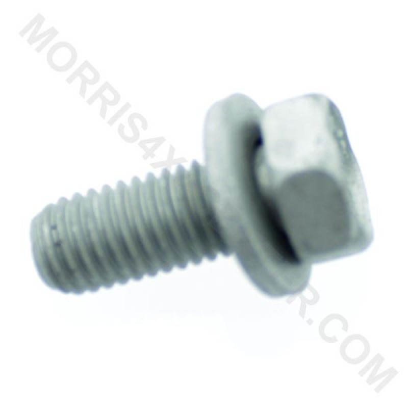 MOPAR Hex Head Bolt and Washer, M10x1.50x25.00