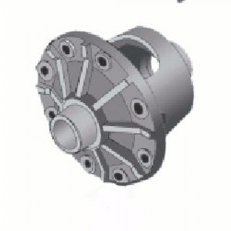 Case Assy Anti-Spin 8.25 Rear Axle