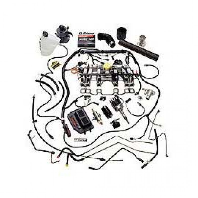 Mopar Multi Port Fuel Injection Conversion Kit For 4 2l With Automatic Transmission