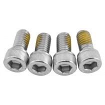 Big Gun Replacement Screws