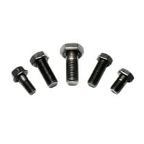 Ring Gear bolt for Toyota T100, Tacoma & 8" IFS front