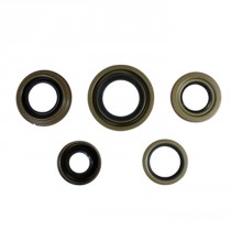 Pinion seal, new design yoke with triple lip for GM 8.5" and 8.6"