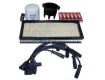 Ignition Parts for Wrangler TJ & Wrangler Unlimited TJL 