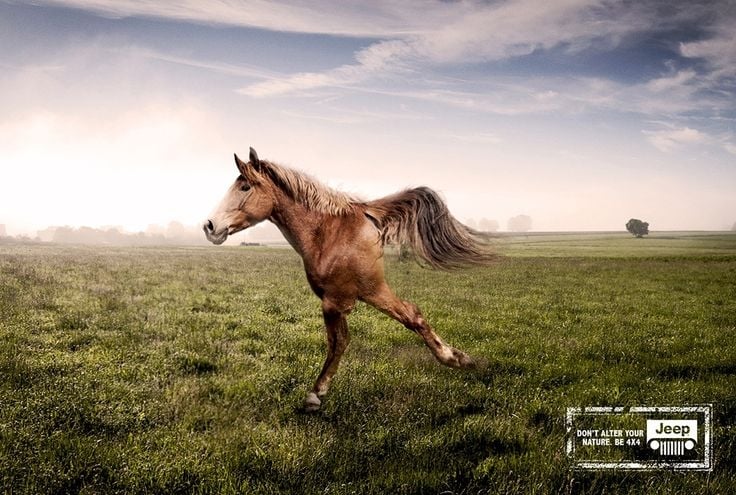 Jeep Ad Don't Alter Your Nature